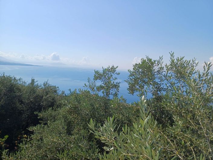 Image No.21-6 Bed House for sale