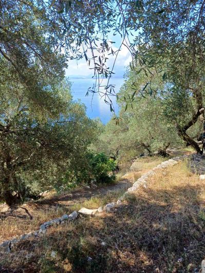 Image No.3-6 Bed House for sale