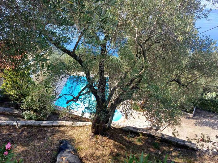 Image No.32-6 Bed House for sale