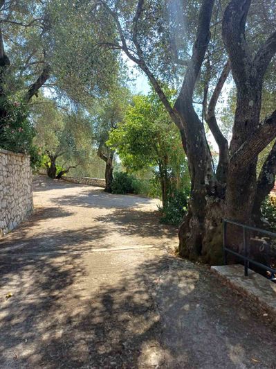 Image No.4-6 Bed House for sale