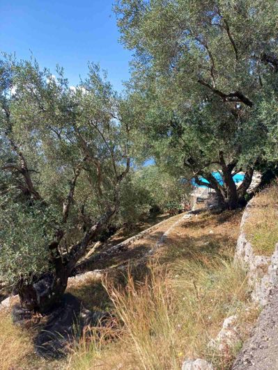 Image No.46-6 Bed House for sale