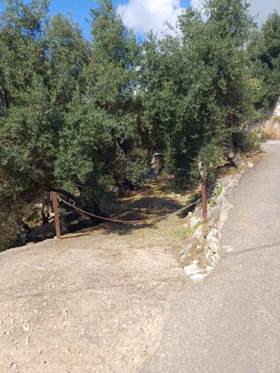 Image No.49-6 Bed House for sale