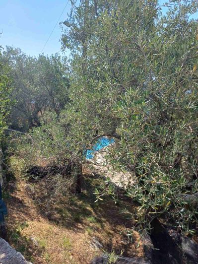 Image No.55-6 Bed House for sale