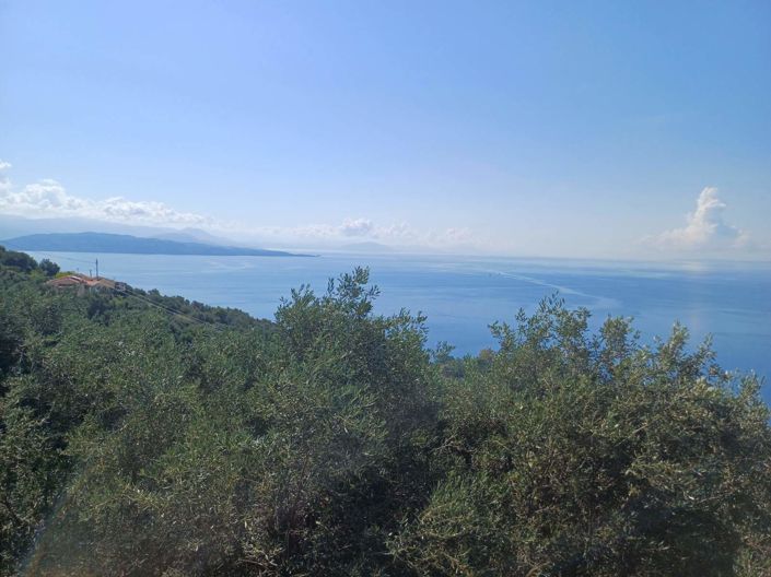 Image No.6-6 Bed House for sale