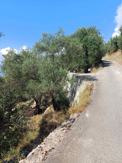 Image No.8-6 Bed House for sale