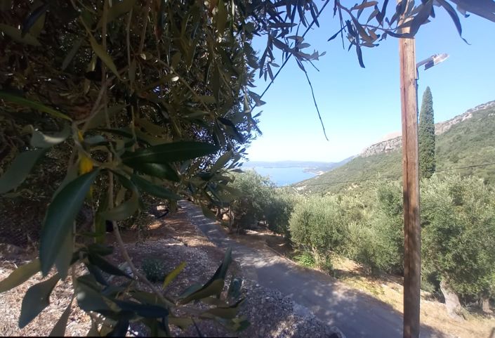 Image No.12-3 Bed House for sale