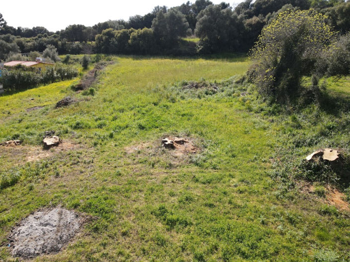 Image No.13-Land for sale