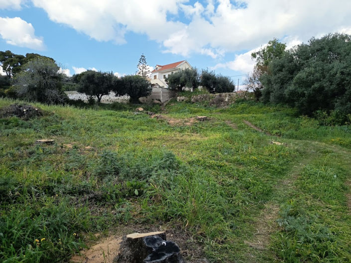 Image No.14-Land for sale
