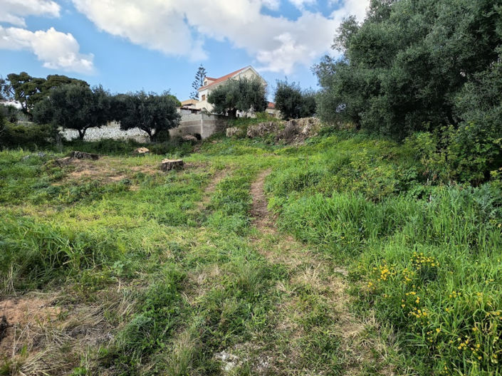 Image No.16-Land for sale