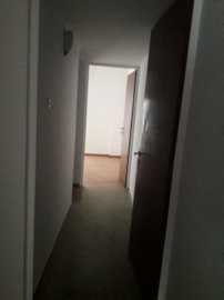 big1-29881
