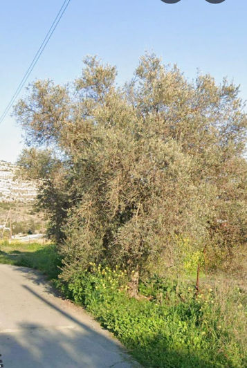 Image No.2-Property for sale