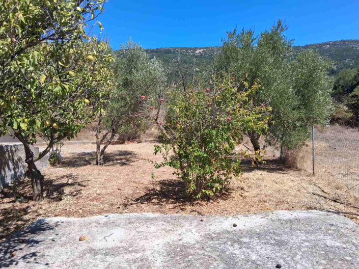 Image No.5-3 Bed House for sale