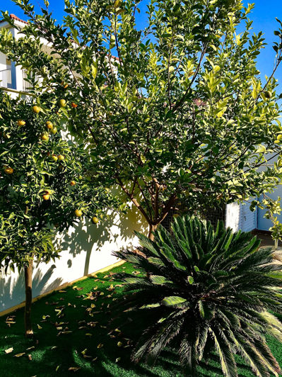 Image No.30-3 Bed Property for sale