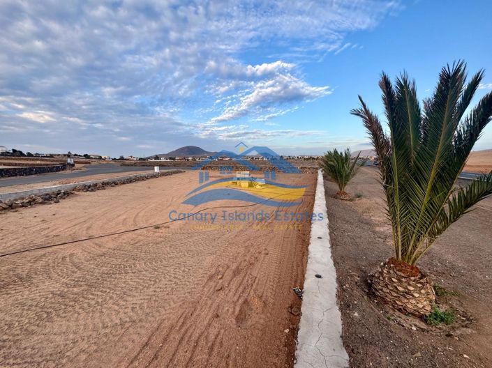 Image No.6-Propriété à vendre à La Oliva