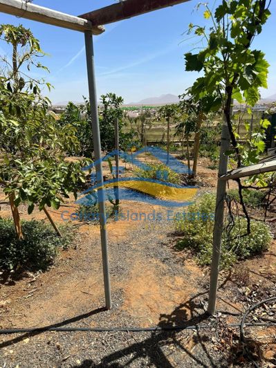 Image No.13-Maison de campagne de 4 chambres à vendre à Tuineje