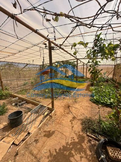 Image No.17-Maison de campagne de 4 chambres à vendre à Tuineje