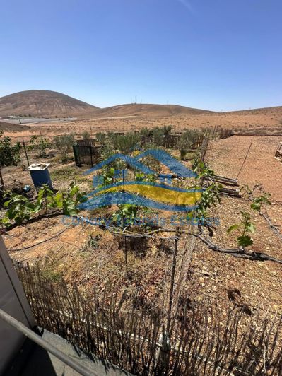 Image No.22-Maison de campagne de 4 chambres à vendre à Tuineje