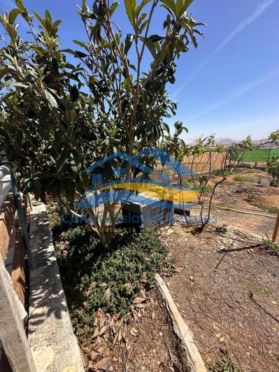 Image No.27-Maison de campagne de 4 chambres à vendre à Tuineje