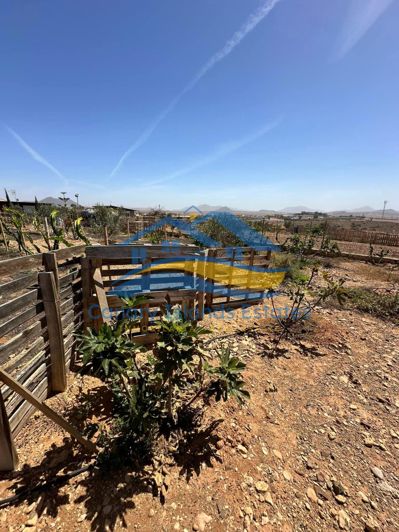 Image No.33-Maison de campagne de 4 chambres à vendre à Tuineje