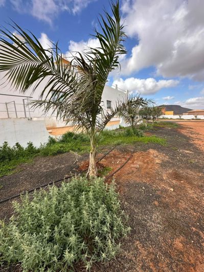 Image No.27-5 Bed Villa for sale