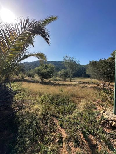 Image No.38-3 Bed Villa for sale
