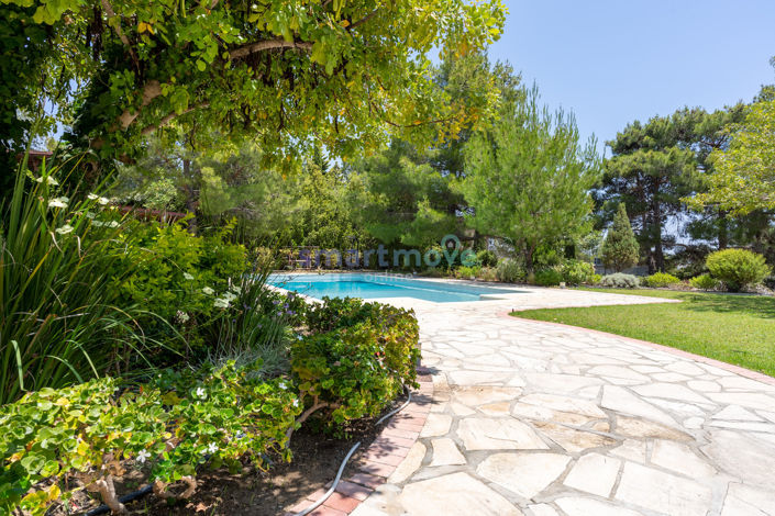 Image No.6-8 Bed Villa for sale