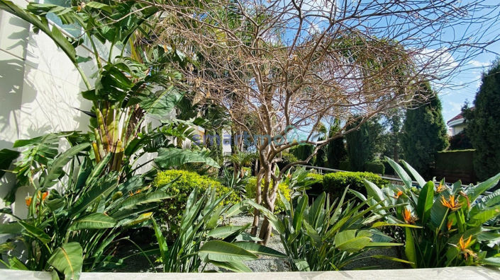 Image No.17-4 Bed Apartment for sale