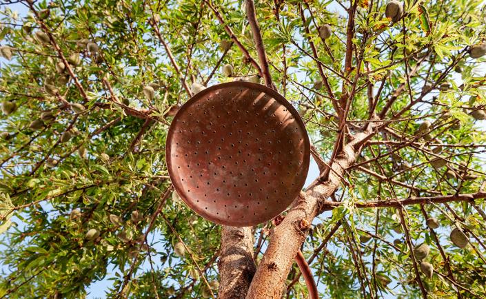 Image No.15-3 Bed Villa for sale