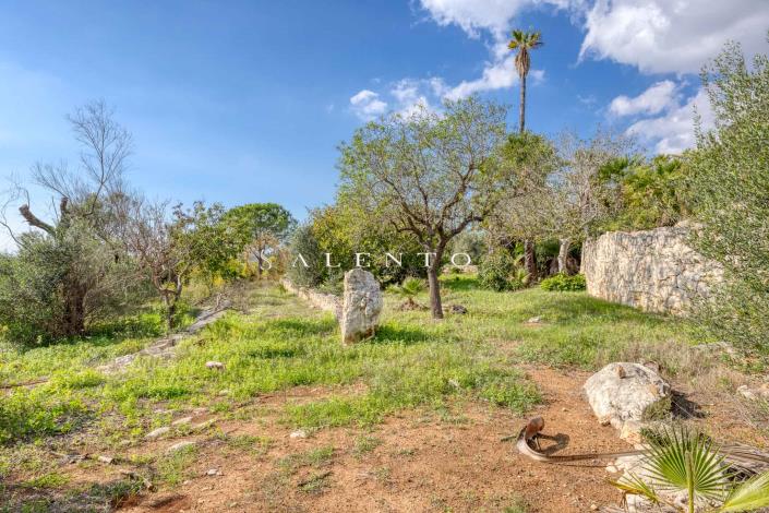 Image No.32-3 Bed Villa for sale