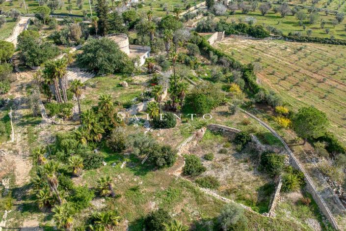 Image No.42-3 Bed Villa for sale