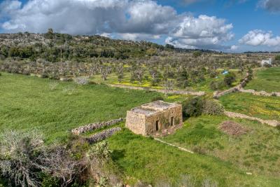 IMK-24022026-1181-31653_HDR-3000