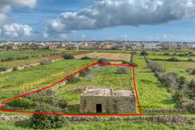 IMK-24022026-1181-31656_HDR-6159-3000