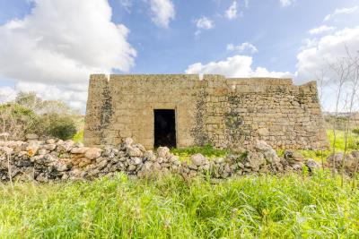 IMK-24022026-1182-31770_HDR-3000