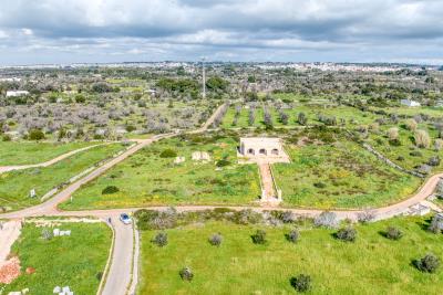 IMK-24022026-1181-31742_HDR-1200