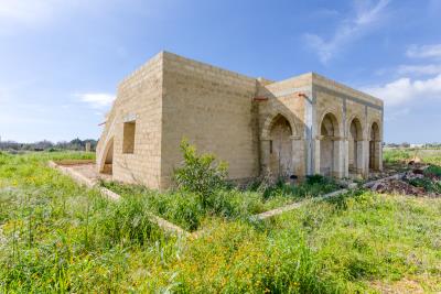 IMK-24022026-1182-32055_HDR-1200