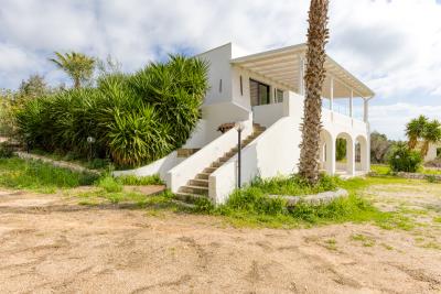 IMK-10032026-1191-33628_HDR-1200