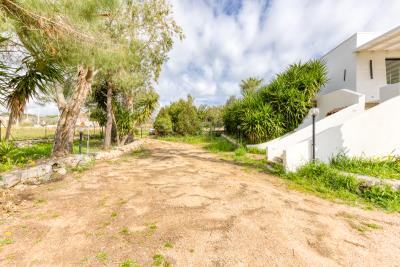 IMK-10032026-1191-33634_HDR-1200