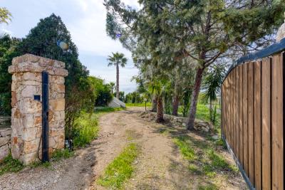 IMK-10032026-1191-33741_HDR-1200