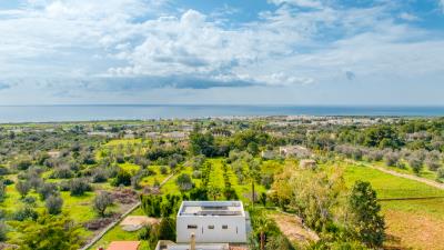 IMK-10032026-1192-33784_HDR-1200