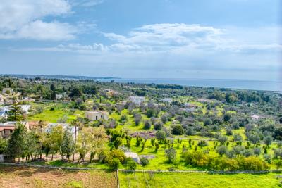 IMK-10032026-1192-33786_HDR-1200