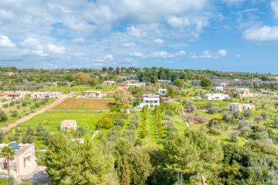 IMK-10032026-1192-33789_HDR-1200