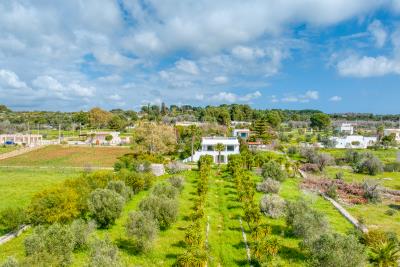 IMK-10032026-1192-33792_HDR-1200