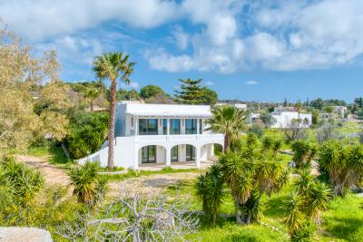 IMK-10032026-1192-33799_HDR-1200