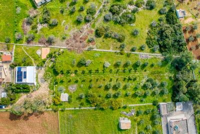 IMK-10032026-1192-33811_HDR-1200