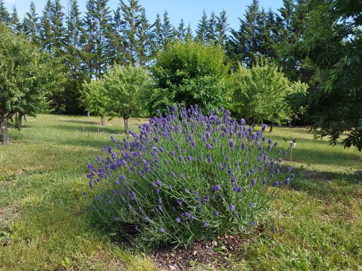 Image No.26-3 Bed House/Villa for sale