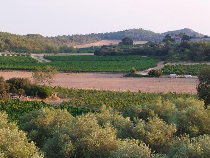 Image No.36-3 Bed House/Villa for sale