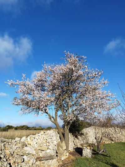 Image No.28-3 Bed House/Villa for sale