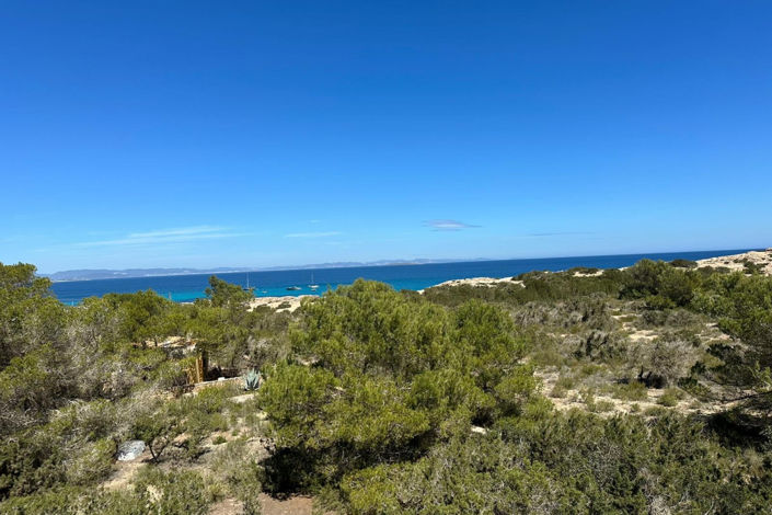 Image No.4-5 Bed Villa for sale