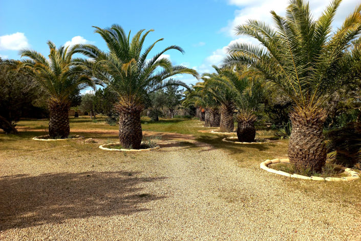 Image No.23-4 Bed Villa for sale