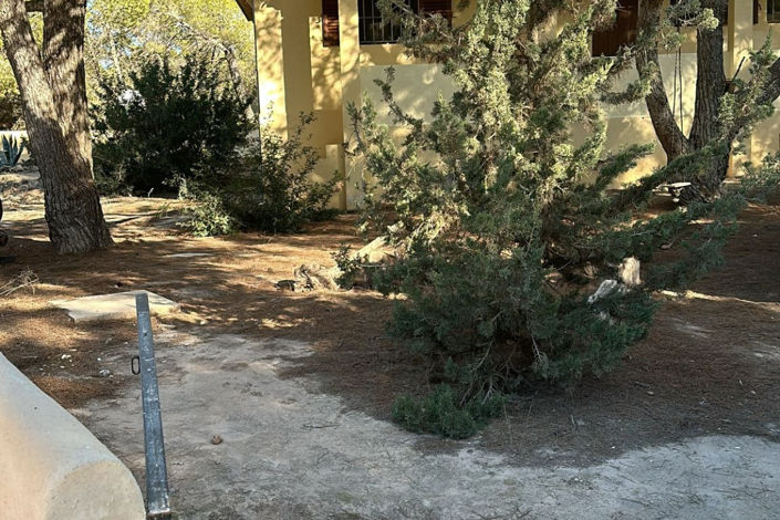 Image No.12-Chalet de 3 chambres à vendre à Playa de Mitjorn